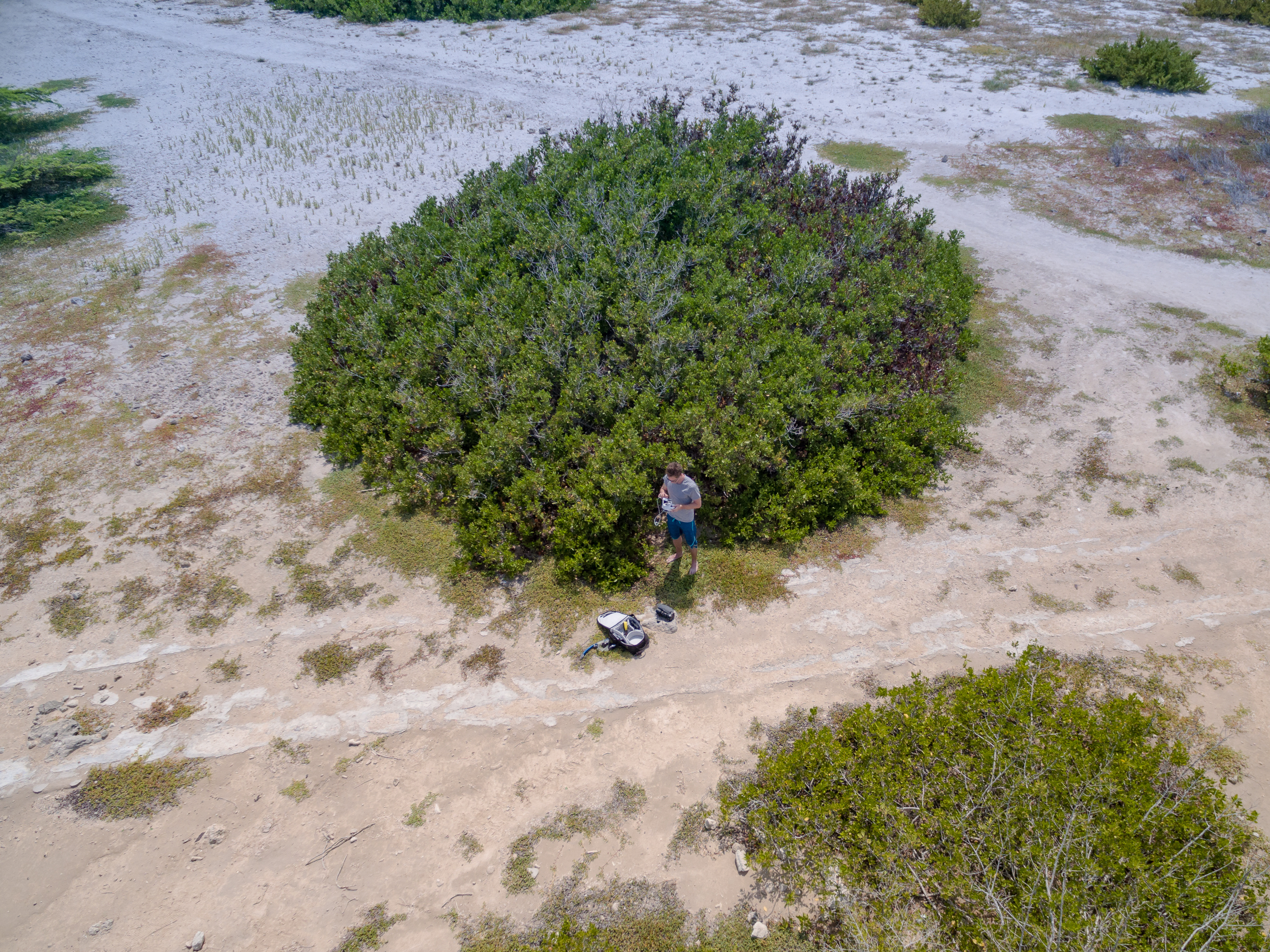 Western beaches and snorkeling route image