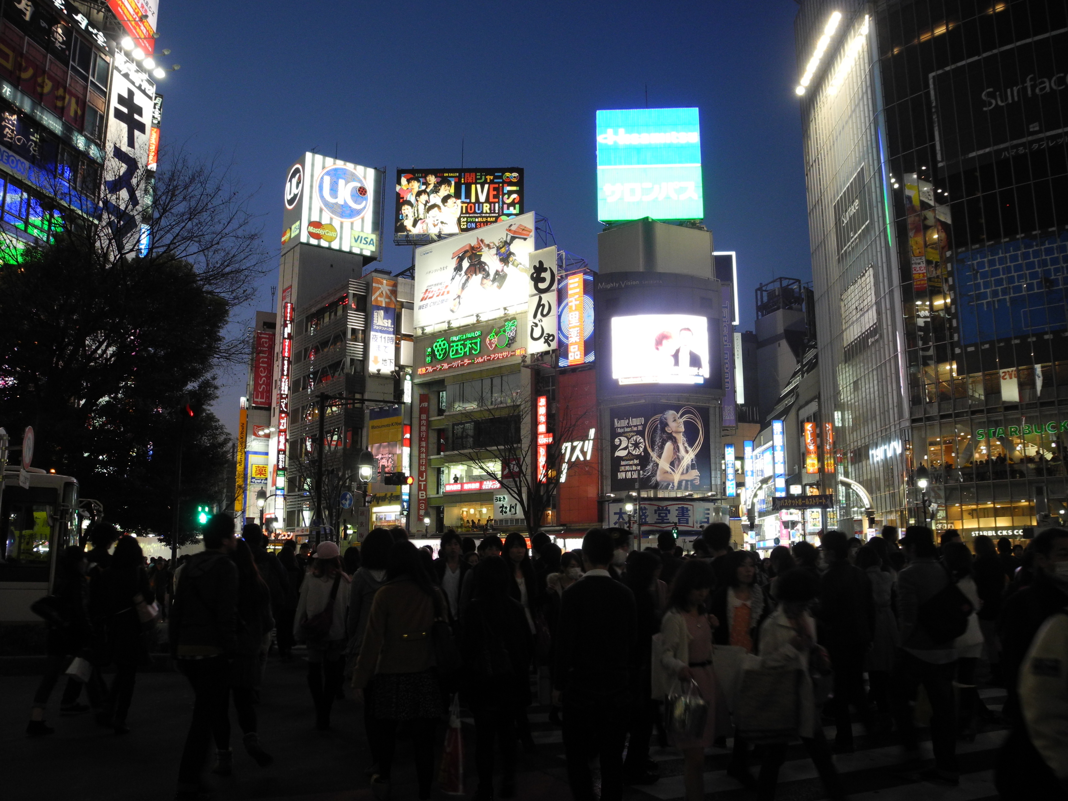 Tokyo Trip Perspectives