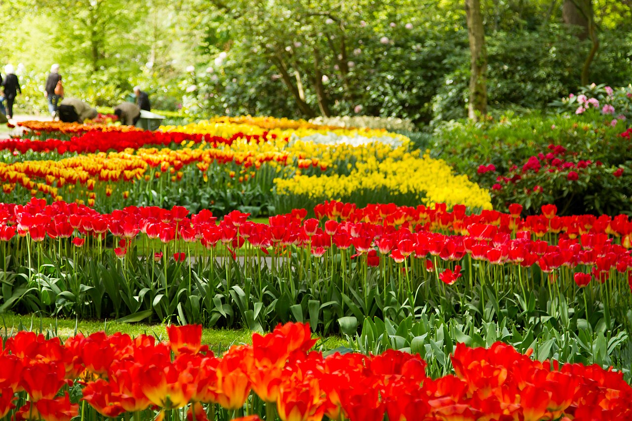 Eindhoven / Keukenhof: PSV or the End of Flower Season Route Photos
