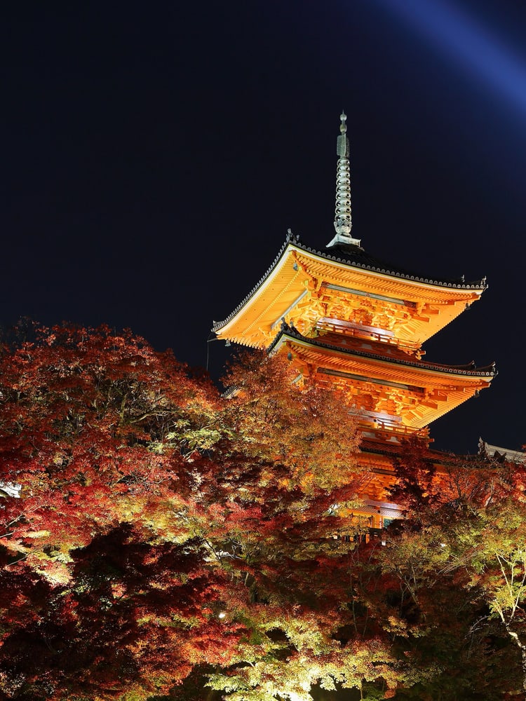 Kyoto: Early Morning Temples and Evening Kamogawa Route Images