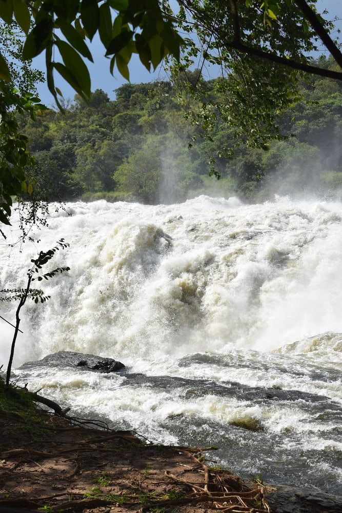 Murchison Falls Boat Safari