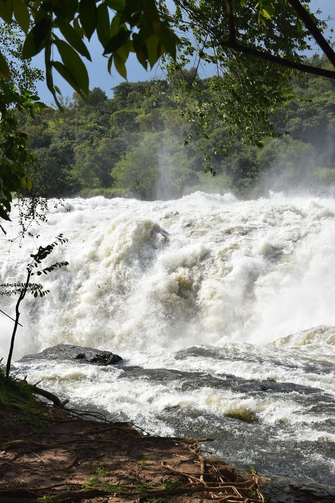 Murchison Full Day: Game Drive and Nile Boat Safari route image